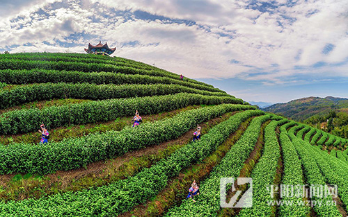 ����ί�T�f(shu��) | ����ί�T��(du��)Ԓ���l(xi��ng)�l(f��)չ���� �����������c�l(xi��ng)�ľ��x