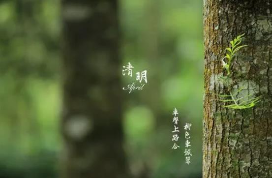 ������(ji��)���g��ƽꖿh�Ƽ��^�_�]�^�r(sh��)�g��