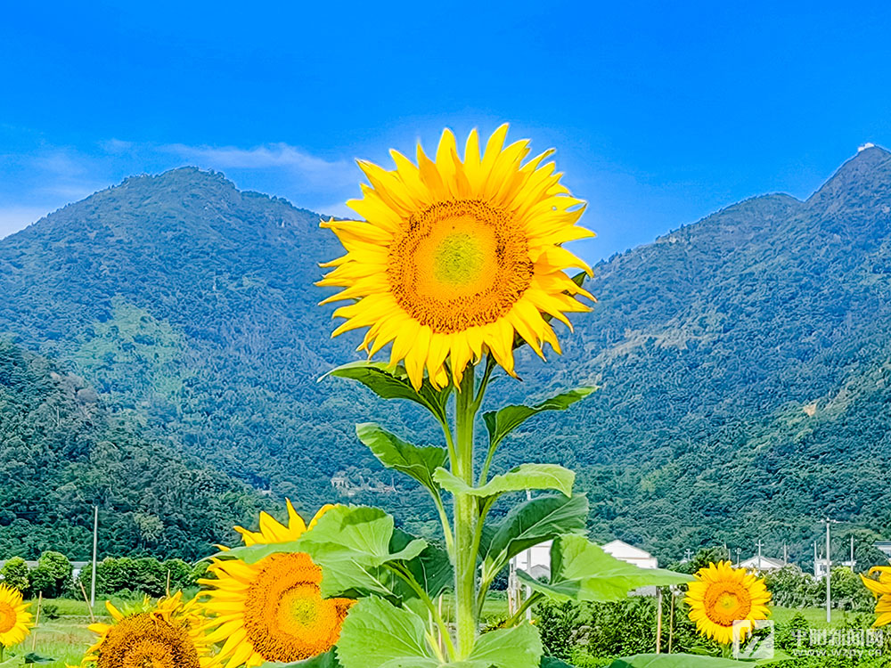 �����_ �l����